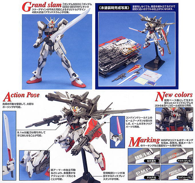 Gundam MG Strike Gundam IWSP