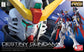 Gundam RG Destiny Gundam (11)